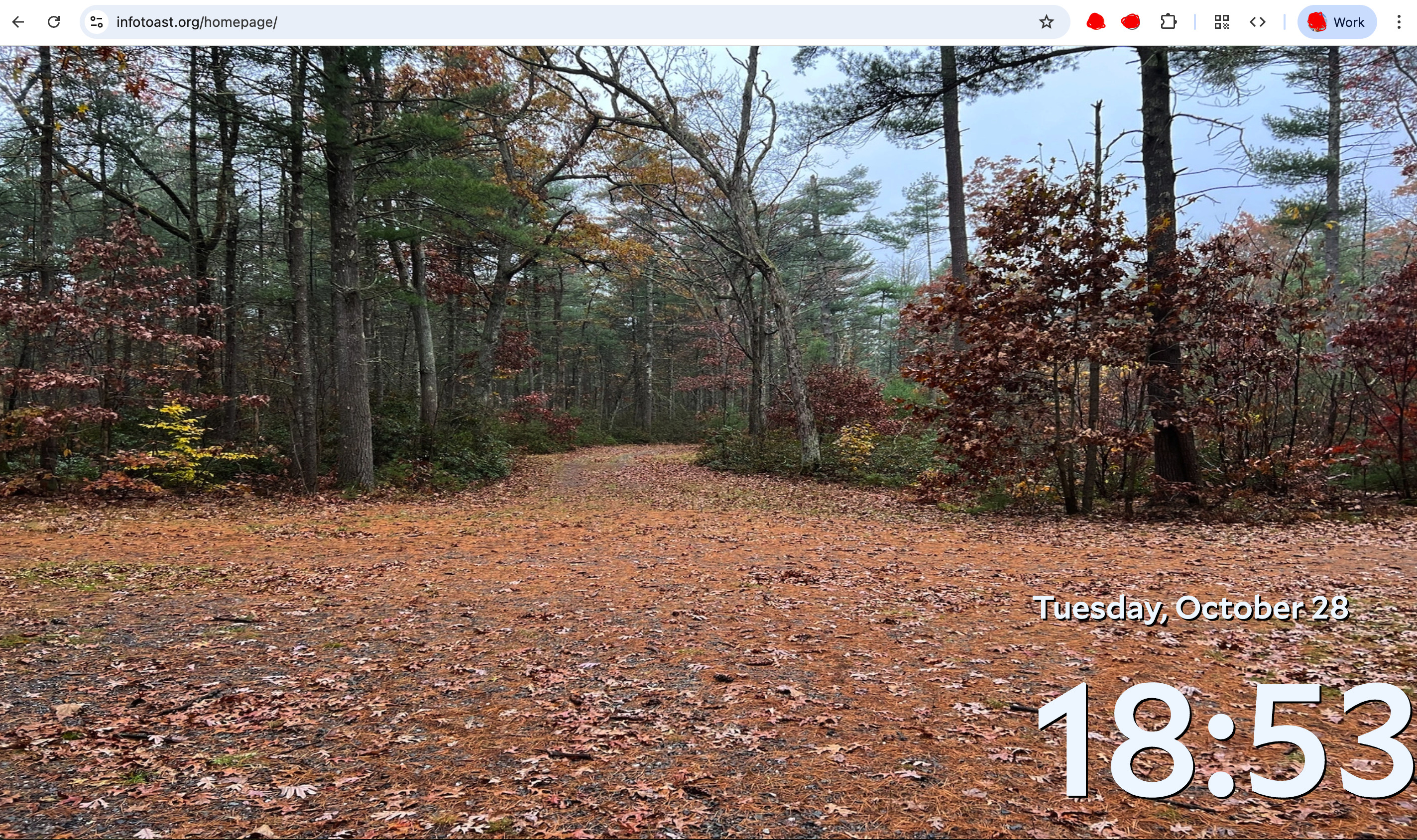 Live, web-based demo